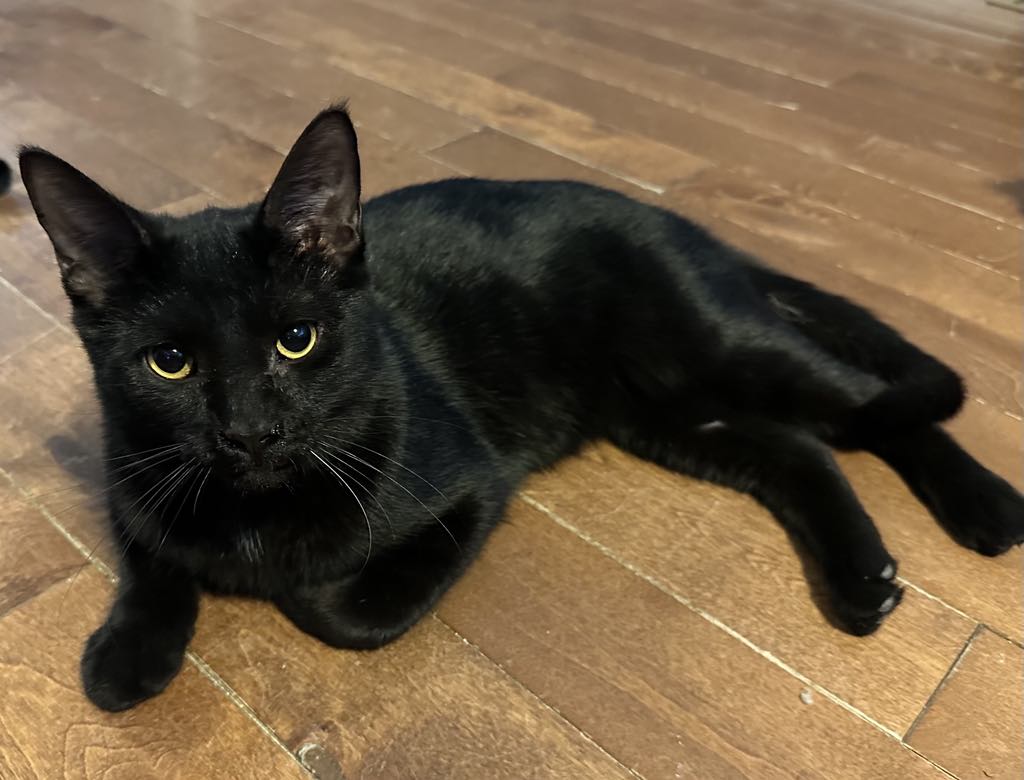 Zeus